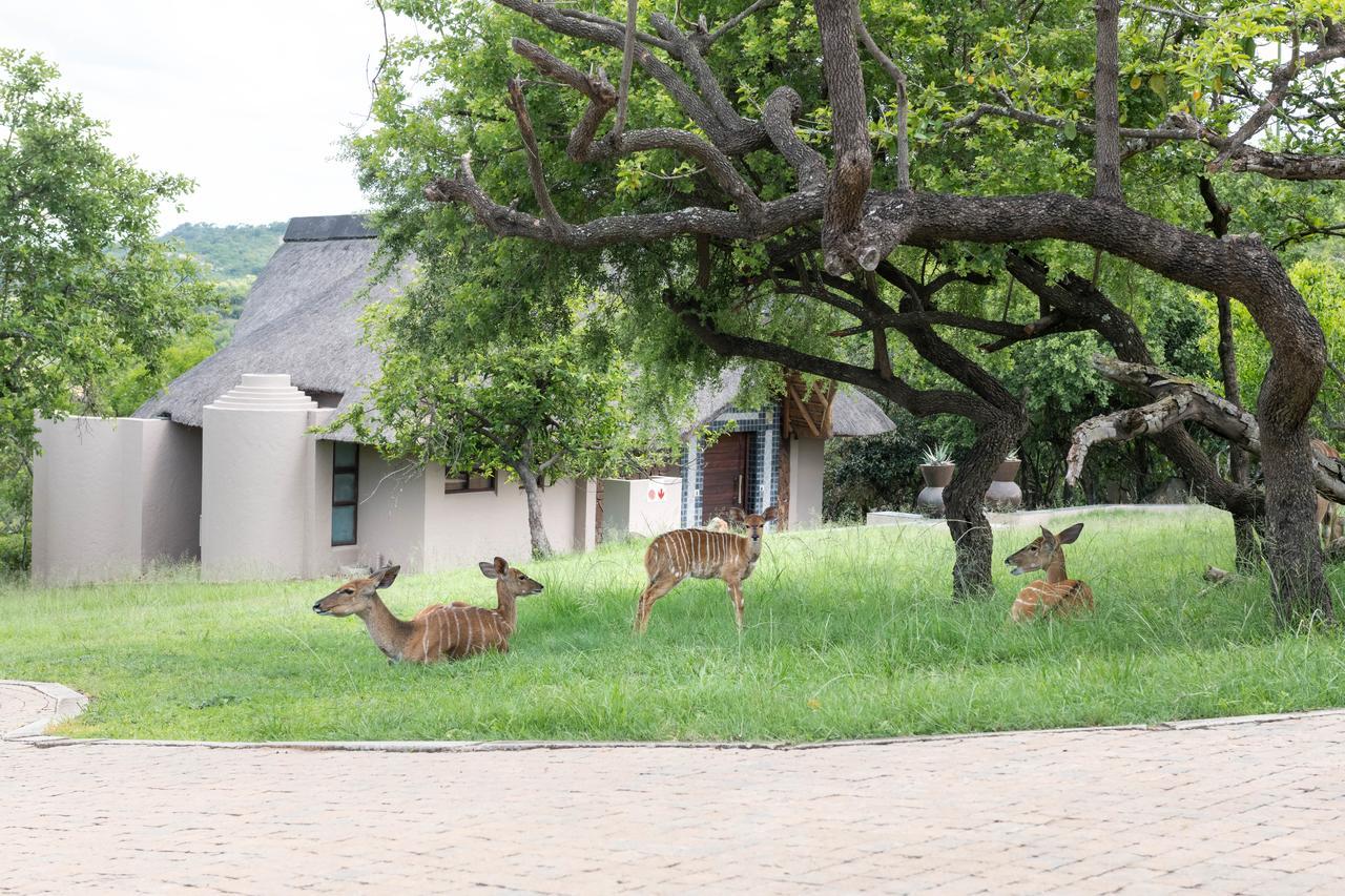 Muluwa Lodge White River Εξωτερικό φωτογραφία